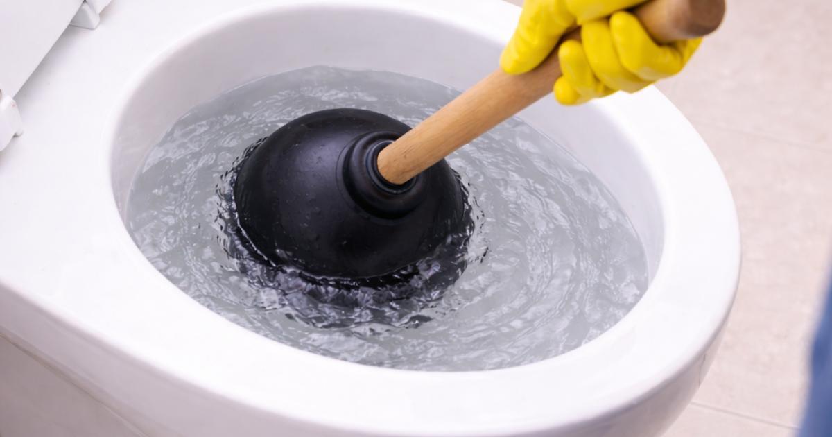 WC-verstopping verhelpen met ontstopper Ontstopper in toiletpot bij beginnende verstopping